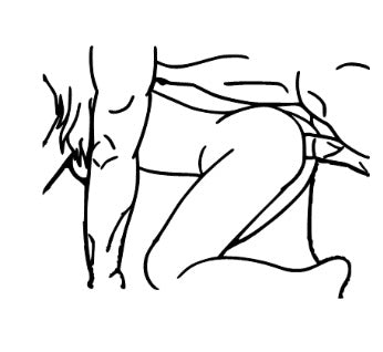 Adult Canvas Collection