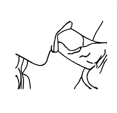 Adult Canvas Collection